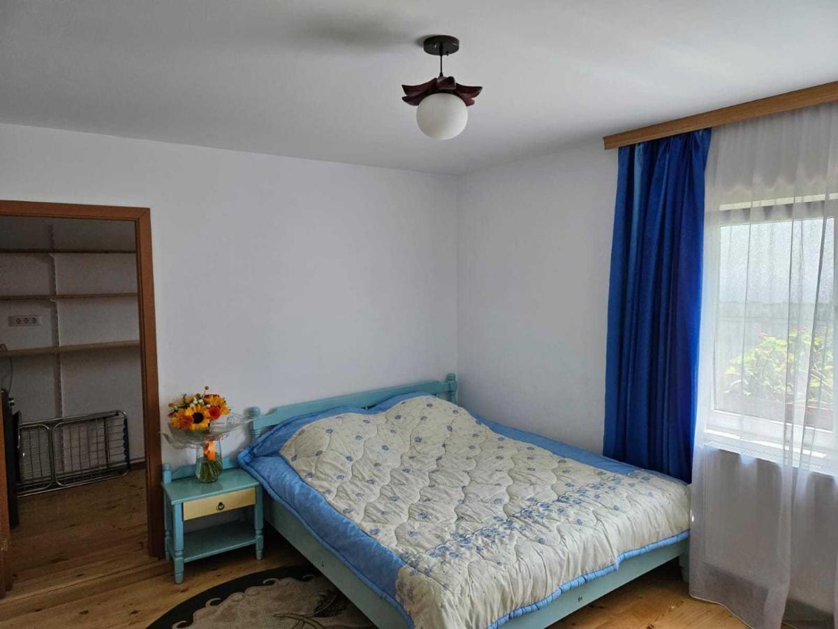 Muzicii 11 - Cozy Seaside Apartments Năvodari Extérieur photo